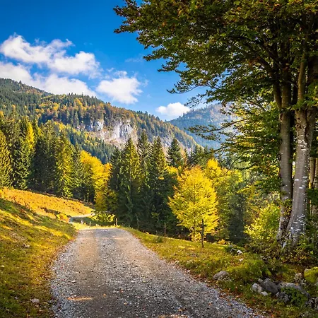 Bio-bergbauernhof Lasserbauer Apartment