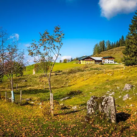 Bio-bergbauernhof Lasserbauer Διαμέρισμα